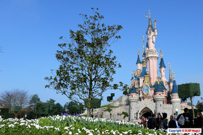 15th Anniversary Castle decorations