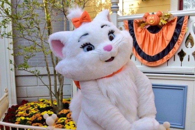 The Aristocats' Marie makes Disneyland Paris debut in daily Halloween appearances ©InsideDLParis